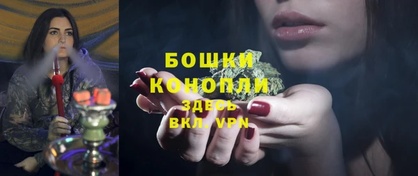 молекула духа Ачинск