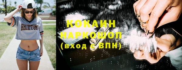 гашик Михайловск