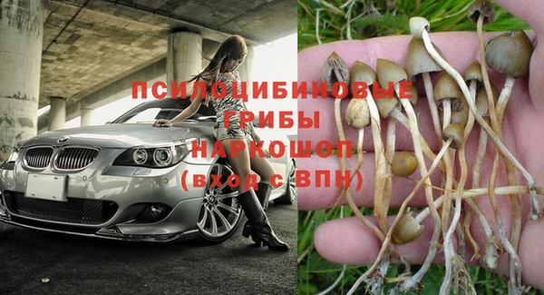 гидропоника Мегион
