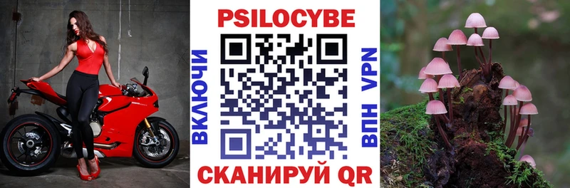 Псилоцибиновые грибы ЛСД Котово
