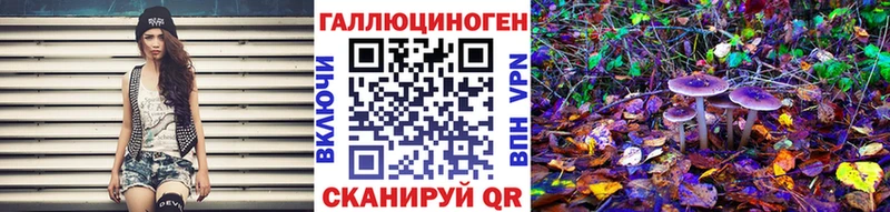 Купить закладки  Котово  Галлюциногенные грибы Cubensis 